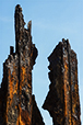 Patina 26